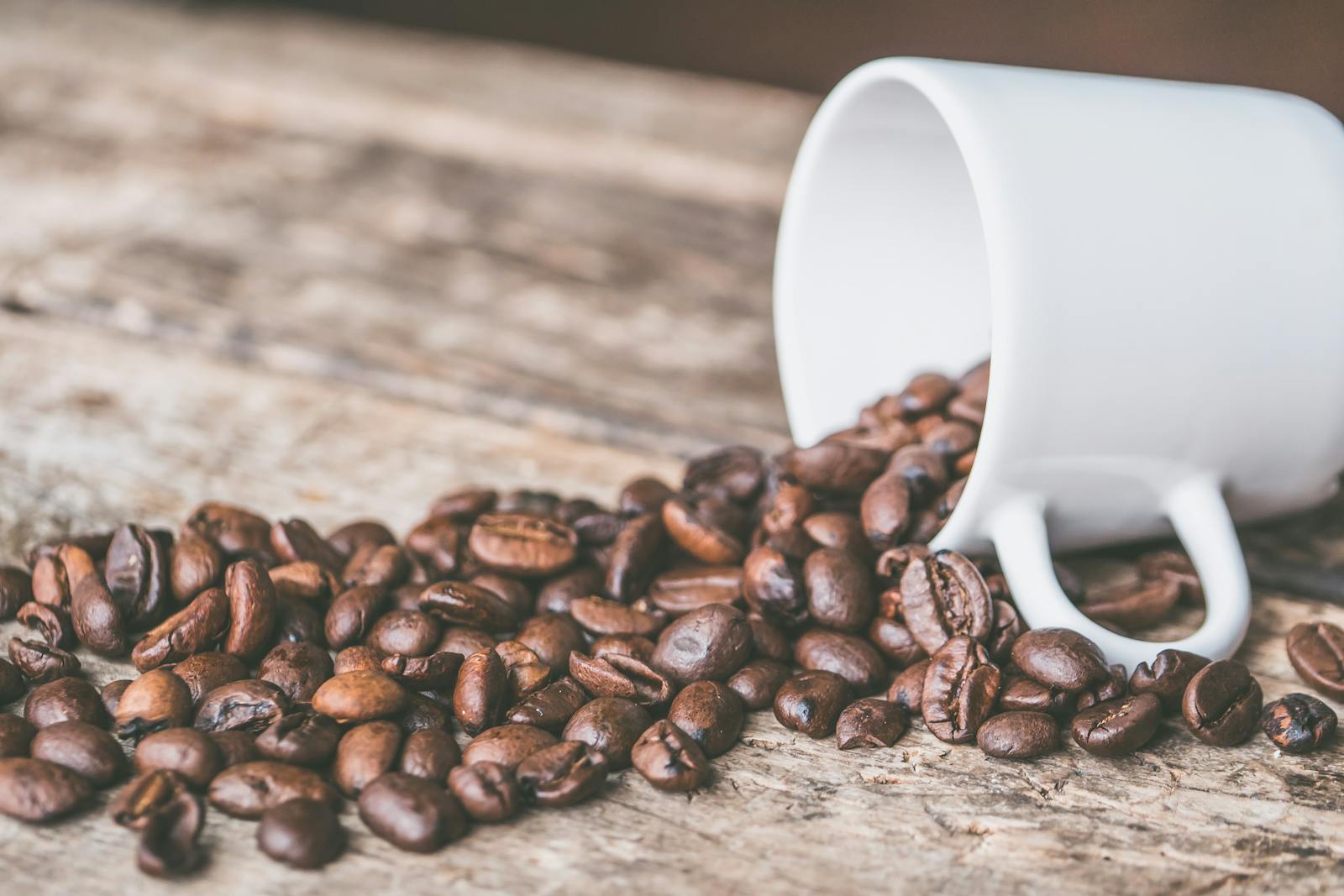 Cette question fait débat parmi les amateurs de café. Bien qu'il soit tentant de penser que la fraîcheur des grains serait mieux préservée au frais, la réalité est plus complexe.