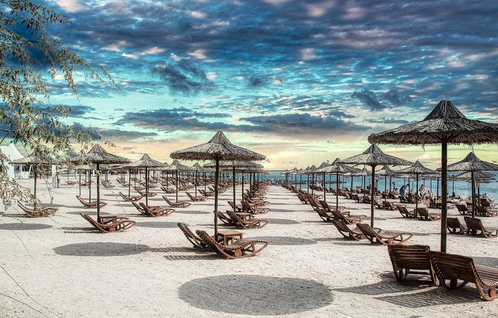 Direction Sir Bani Yas, l'envoûtante île d'Abu Dhabi