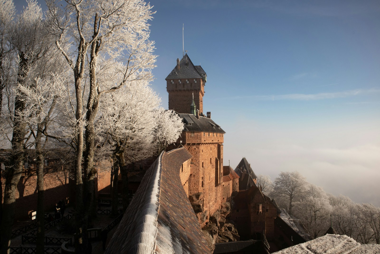 L’Alsace est une terre de châteaux, souvent nichés sur les hauteurs des Vosges pour des raisons défensives.