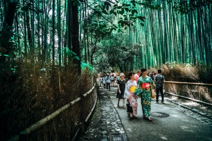 Le Japon est également une terre de paysages naturels époustouflants, souvent éclipsés par ses mégapoles.