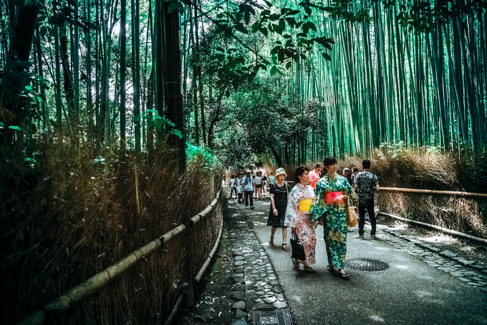 Le Japon est également une terre de paysages naturels époustouflants, souvent éclipsés par ses mégapoles.