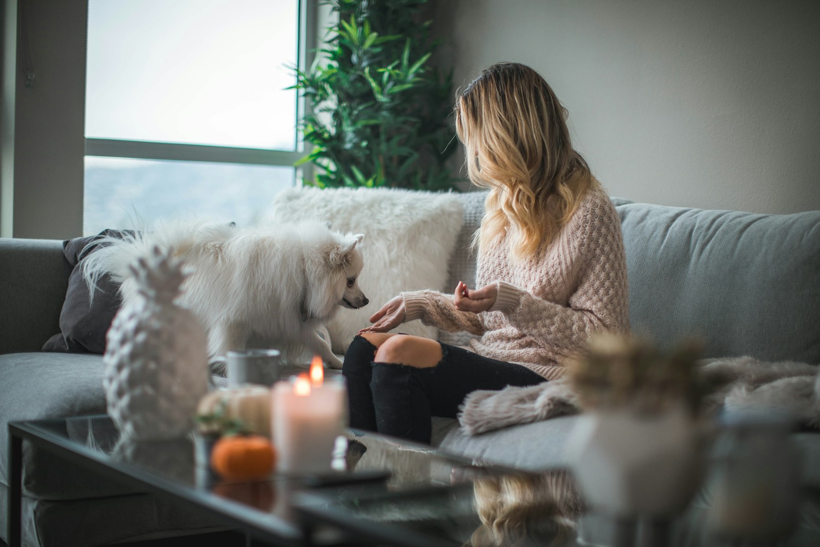Optimiser son budget : astuces pour maîtriser les coûts liés au logement