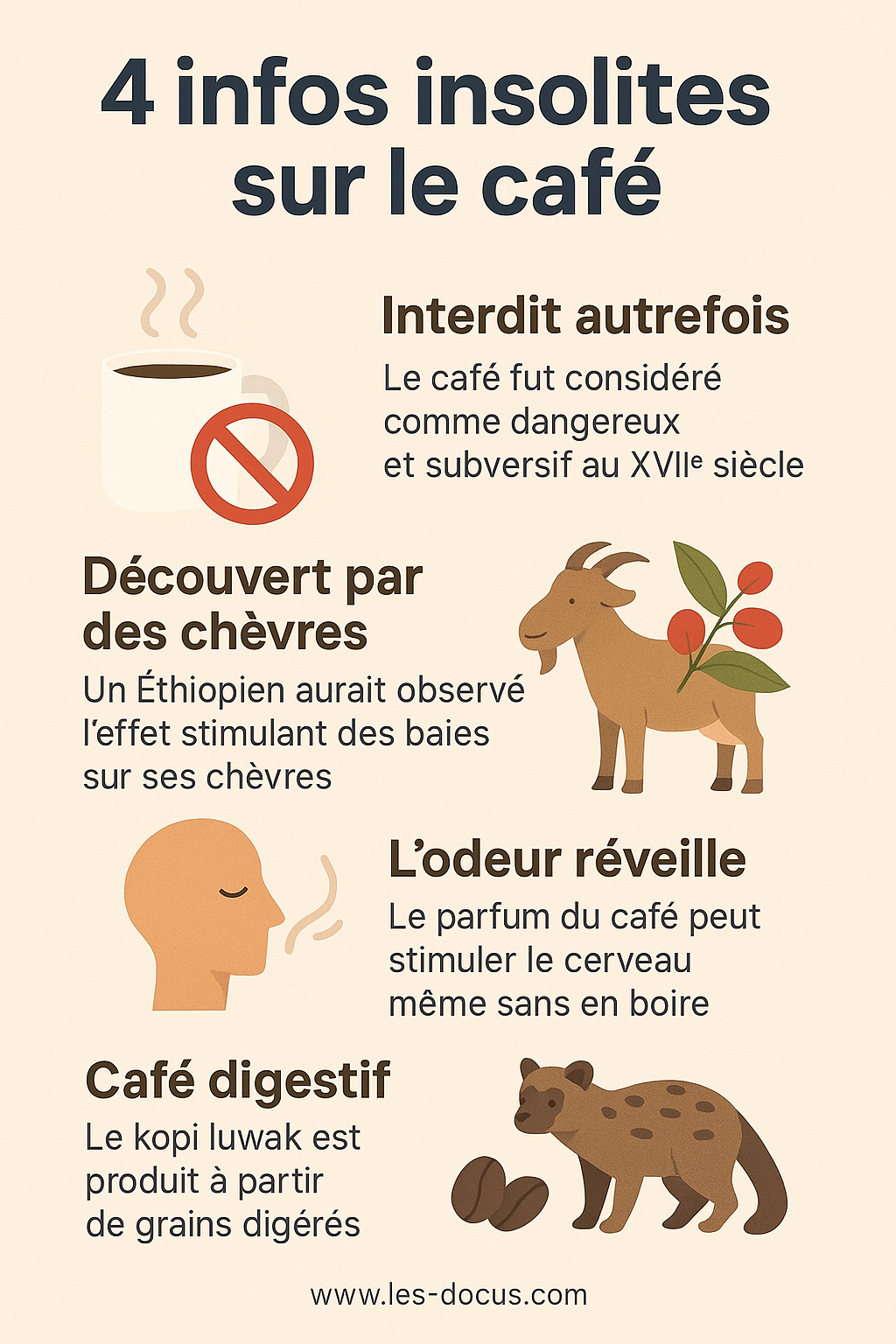 4 infos insolites sur le café