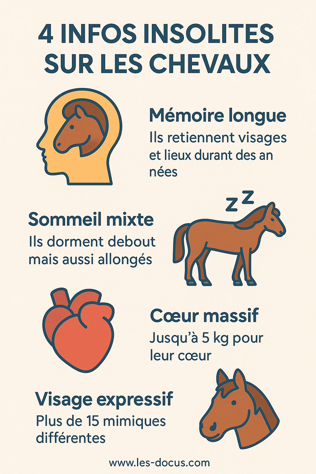 4 infos insolites sur les chevaux