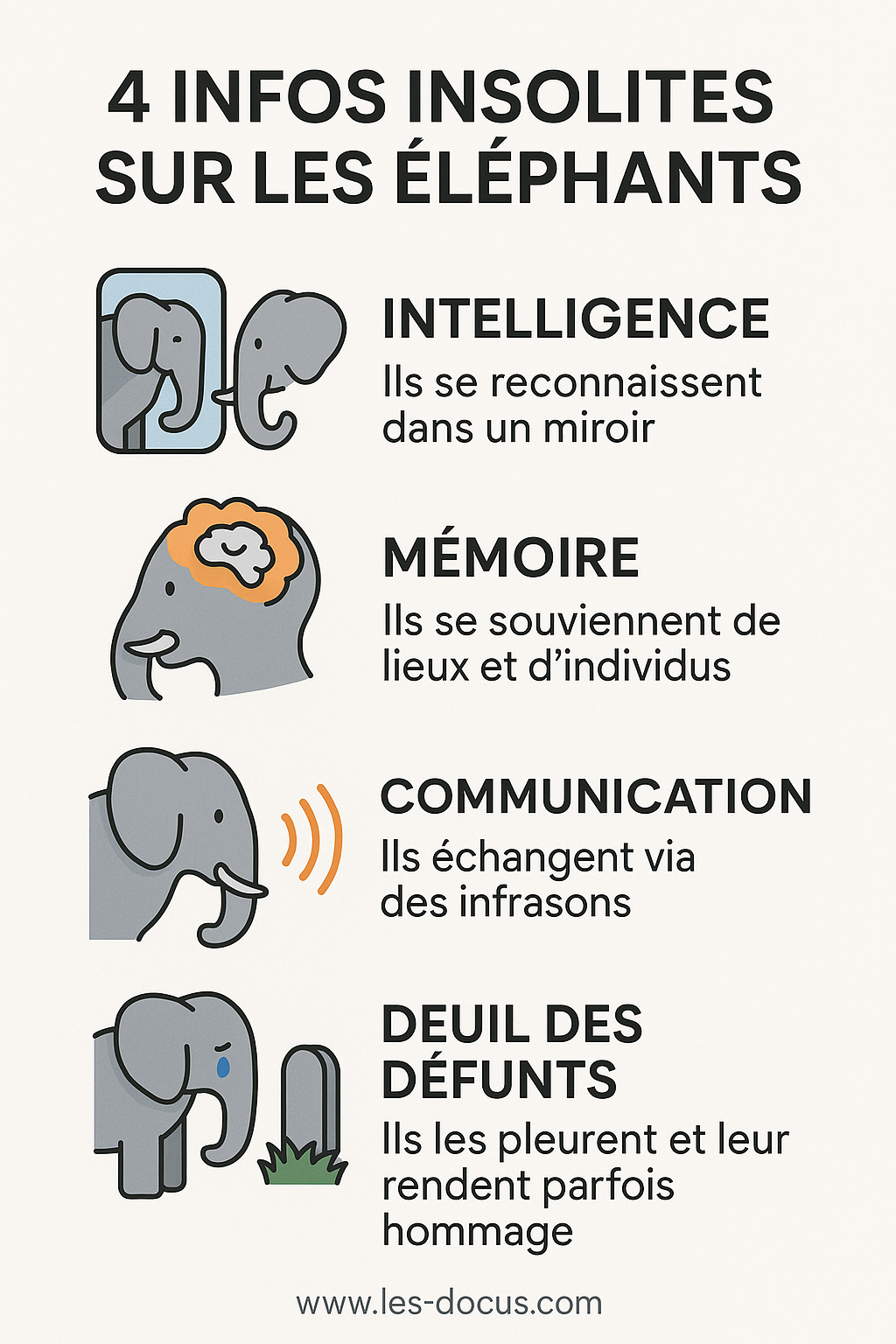 4 infos insolites sur les éléphants
