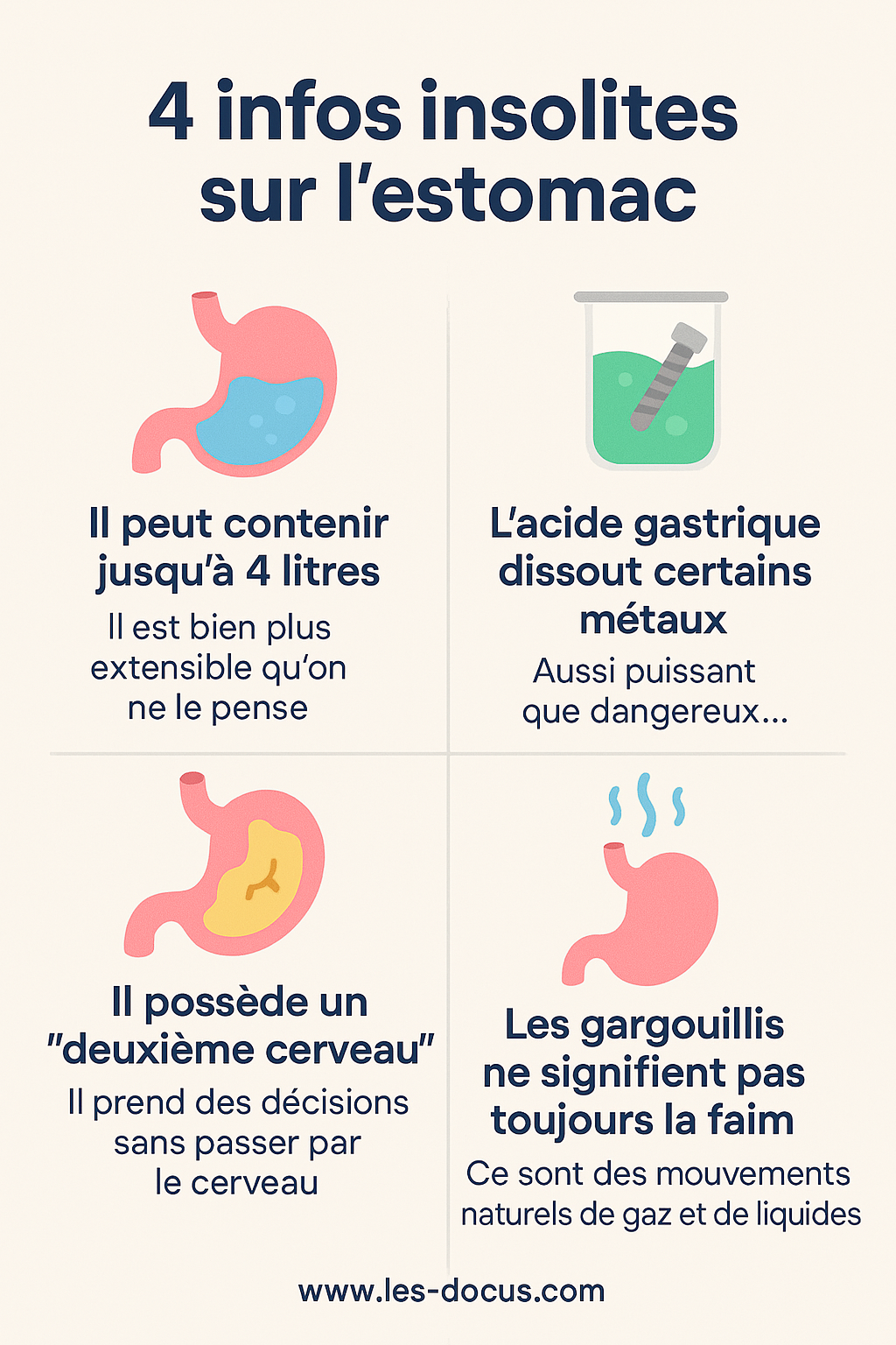 4 infos insolites sur l’estomac