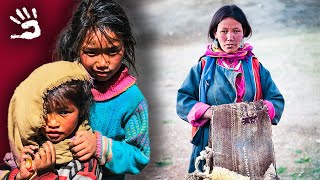 À 12 ans, elle vit À 4300m : une enfance au Ladakh