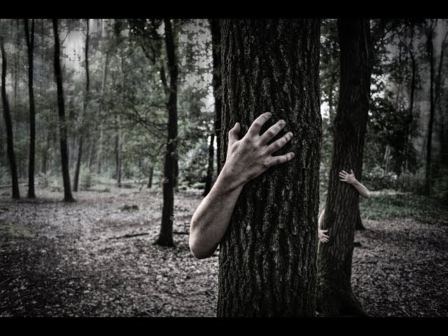 Apocalypse zombie : les maths pour sauver l’humanité ?