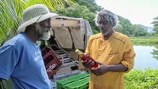 Caraïbes : à la conquête des trésors antillais