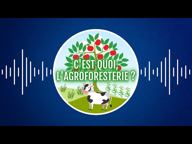 C’est quoi, l’agroforesterie ?