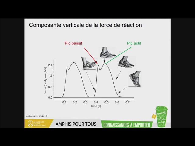Optimisation des équipements sportifs : les apports de la biomécanique