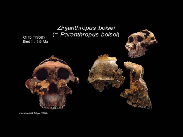 Nosce te ipsum : ce qui fait un Homme