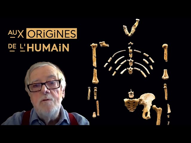 Où, quand, pourquoi, comment est apparu l’Homme ?