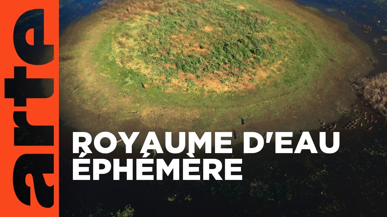 Le Pantanal brésilien – Des royaumes de terre et d’eau