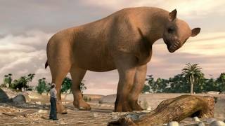 Le plus grand mammifère terrestre de tous les temps