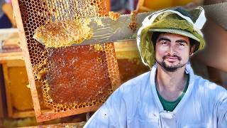 Miel : un ingrédient universel ?