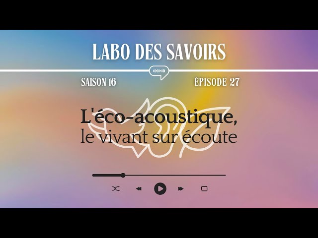 L’éco-acoustique : le vivant sur écoute