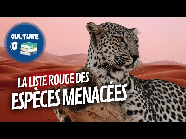 Qu'est-ce que la liste rouge de l'UICN ?