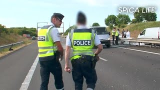 Run sauvage, conducteurs fous : la nouvelle délinquance routière