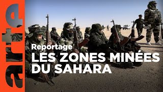 Sahara occidental : les combattantes du désert