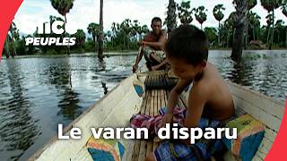 Un enfant et son varan sacré