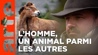 Vivant parmi les vivants