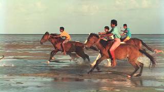 Wallis et Futuna : celui qui a la nostalgie des chevaux