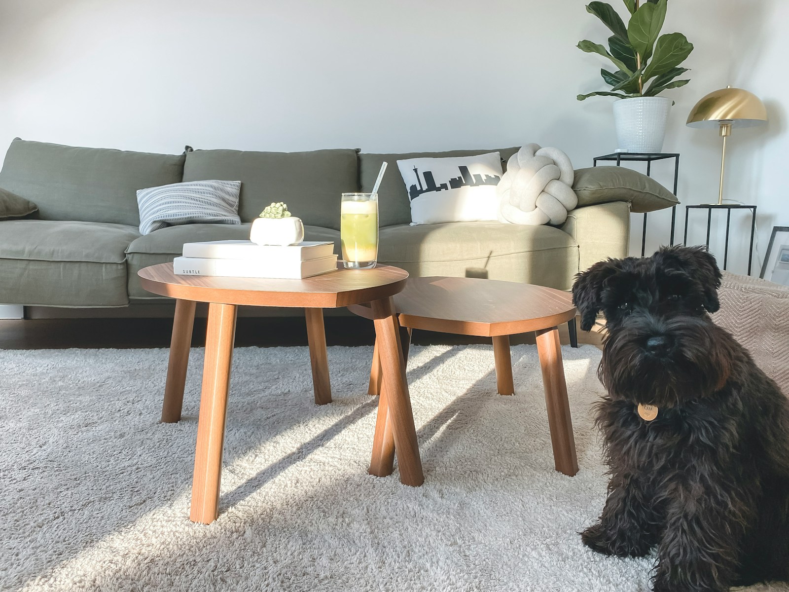 Astuces pour entretenir et raviver une moquette