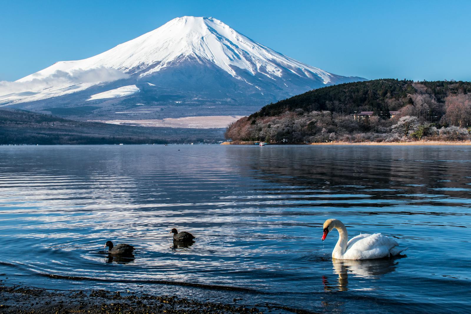 Il a laissé une empreinte indélébile sur la culture japonaise.