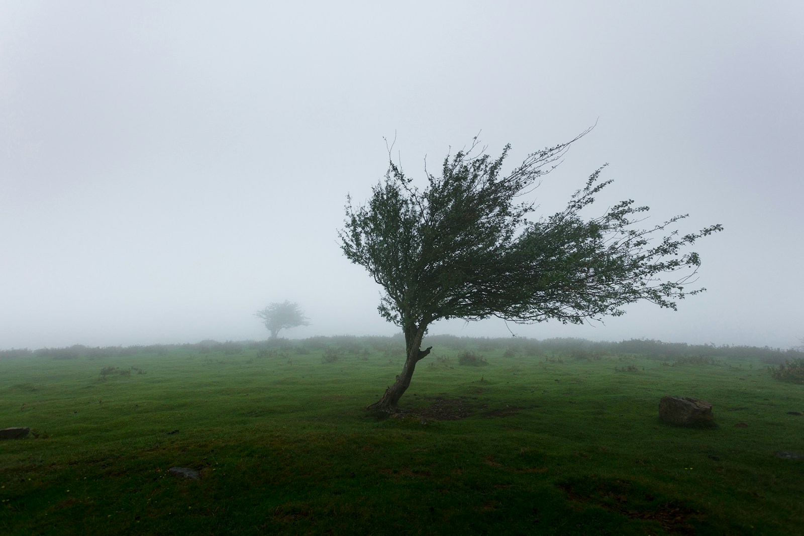 Le derecho, ce phénomène météo responsable des vents destructeurs