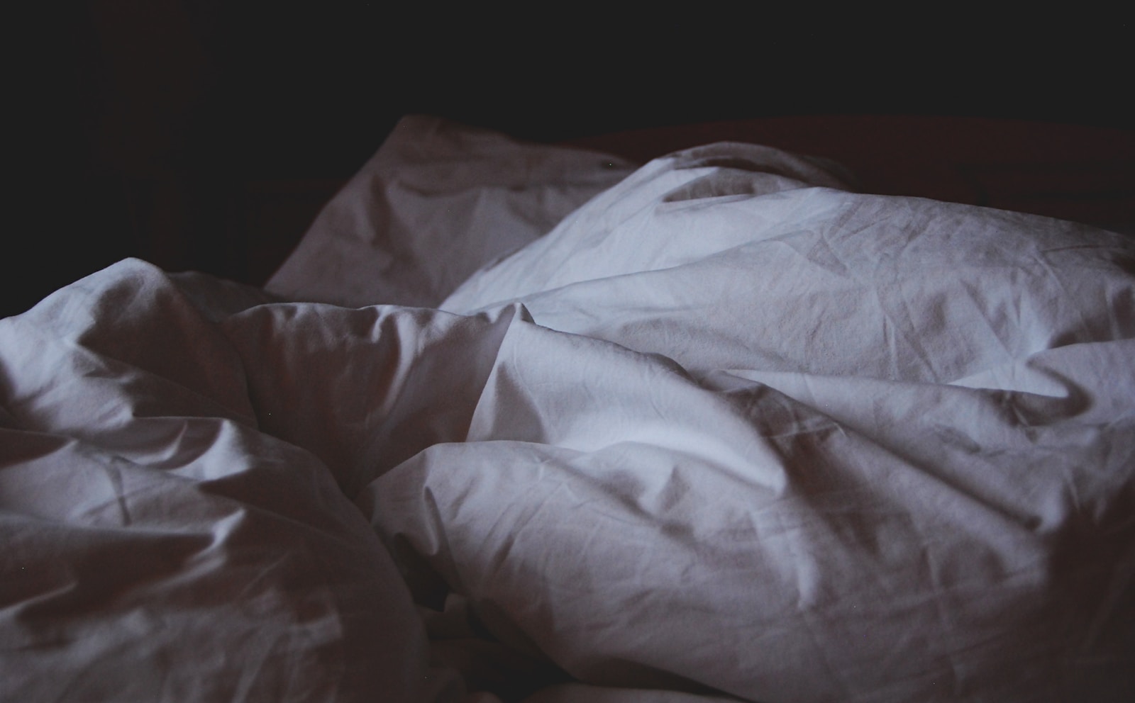 Les mystères du sommeil paradoxal