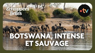 Botswana, intense et sauvage