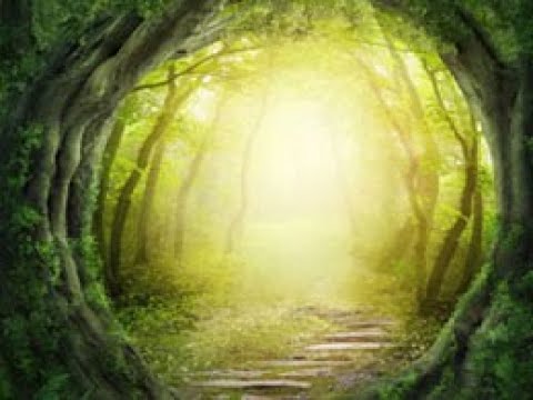 Tolkien et les sciences