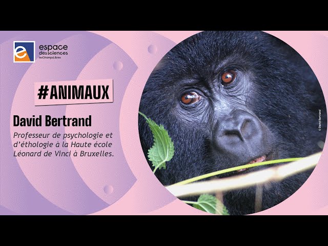 Un autre regard sur les animaux