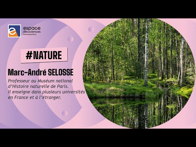 Nature et préjugés
