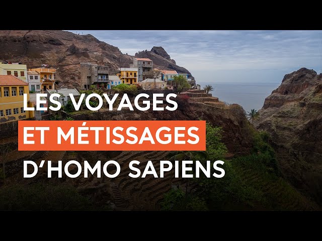 Migrations humaines et métissages génétiques : ce que l'ADN révèle de notre espèce