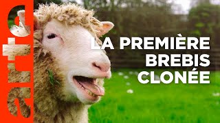 Dolly, la brebis qui a changé le monde