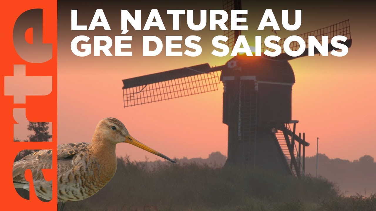 La vie sauvage au pied des moulins