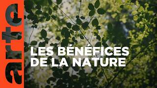 Le bonheur est dans la nature
