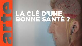 Le nerf vague : dialogue entre le cœur et le cerveau