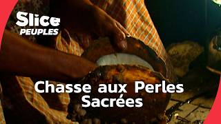 Les trésors cachés des Îles Aru