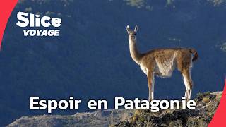 Patagonie : la revanche de la nature