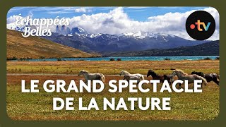 Patagonie, le grand spectacle de la nature