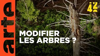 Pouvons-nous sauver les arbres ?