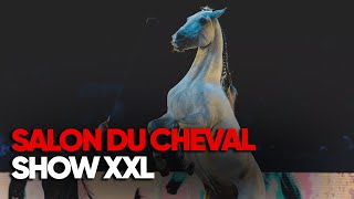 Quand les chevaux deviennent des stars : l’univers du salon du cheval