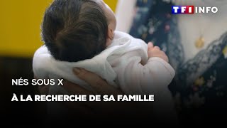 Nés sous X : à la recherche de sa famille