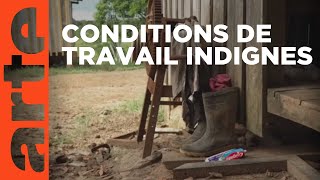 Un avenir pour les travailleurs précaires ?