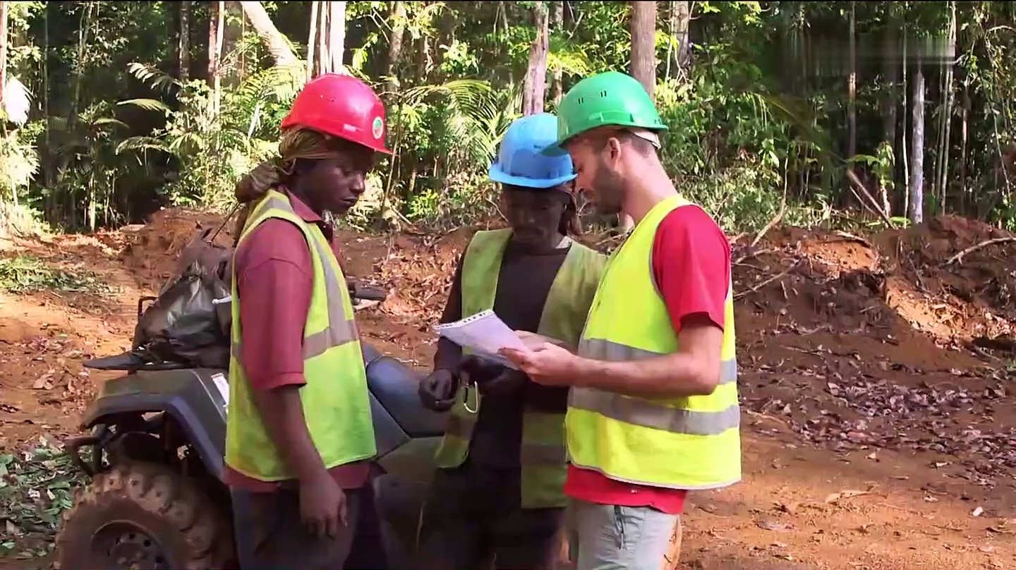Un monde sans forêts
