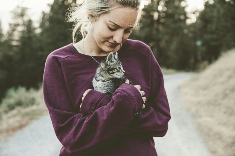 Article | Pourquoi adopter un chat ?