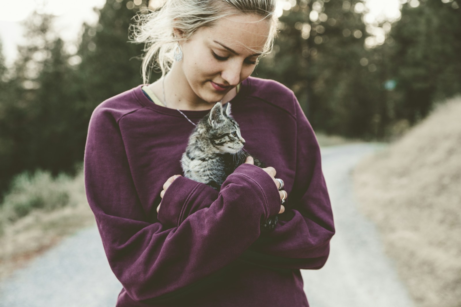 Pourquoi adopter un chat ?